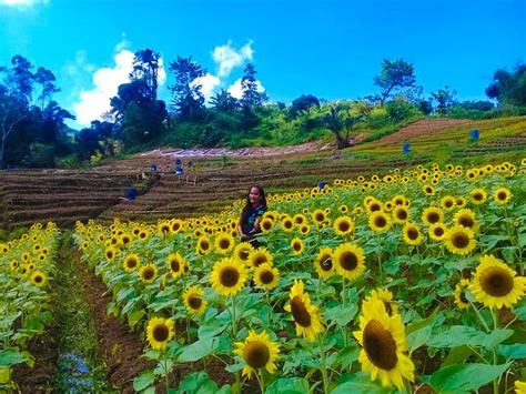 dalaguete tourist spots